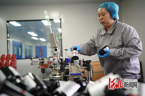 河北乐亭 创新赋能产业延伸，海参肽凝胶糖果投产上市