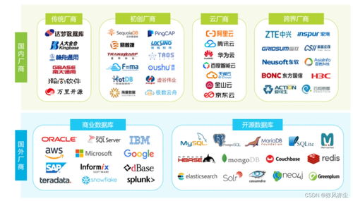 信创基础软件之数据库 核心技术、产业格局与选型咨询